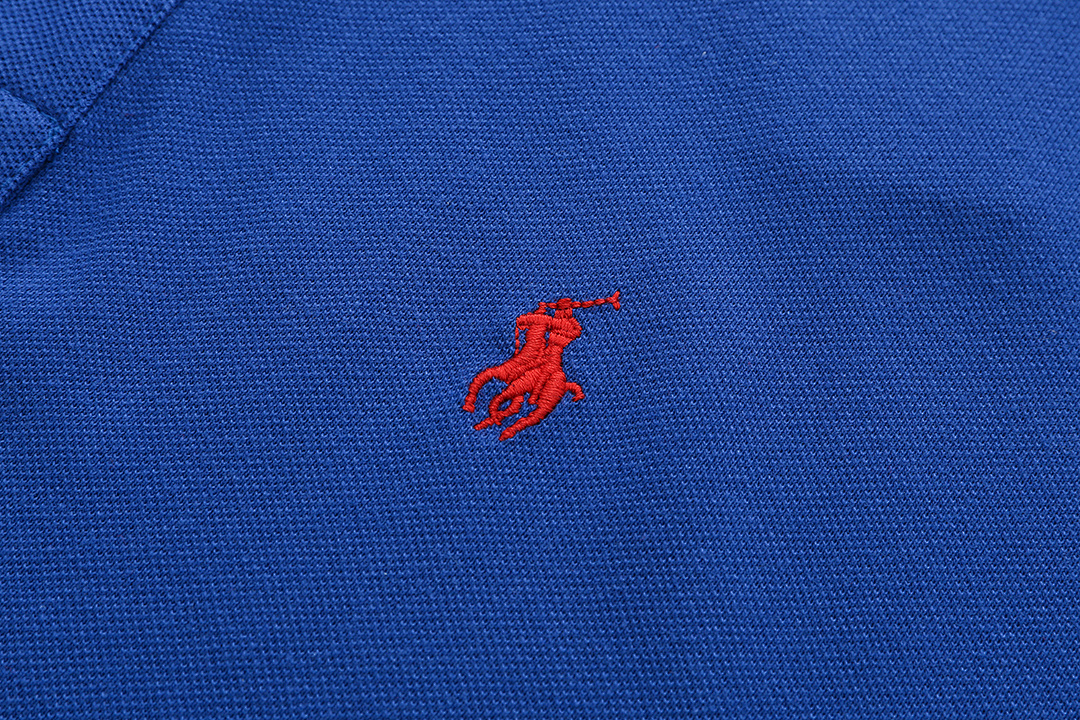 Polo Ralph Lauren Tipped Polo Shirt · A2996 — תמונה 8