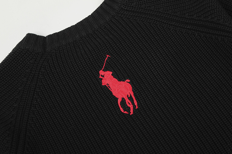 Polo Ralph Lauren Logo Sweater · A2940 — תמונה 21