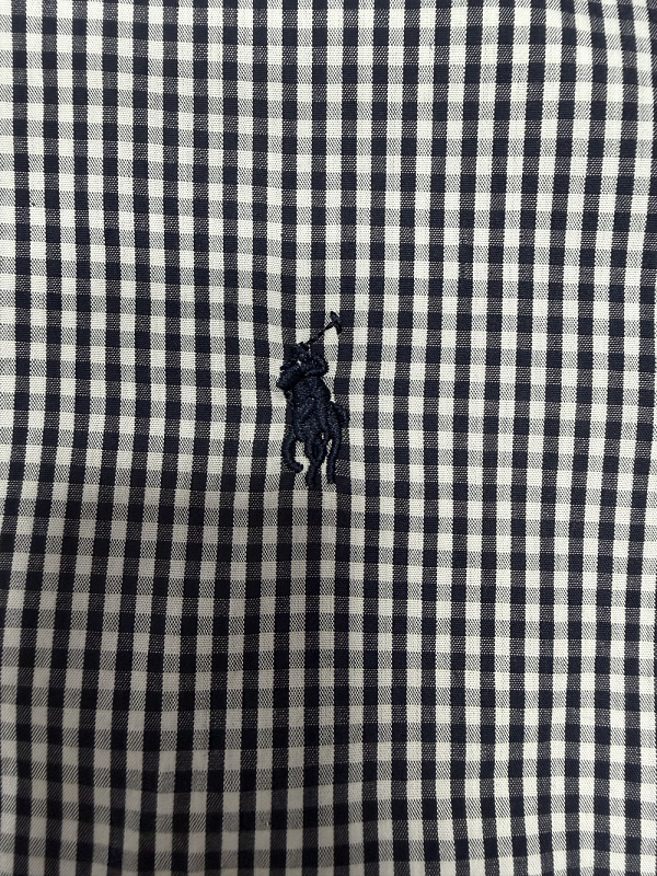 Ralph Lauren Gingham Stretch Poplin Shirt · A3196 — תמונה 13
