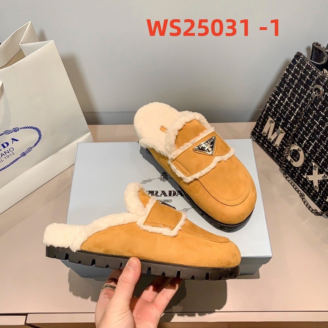 WS25031