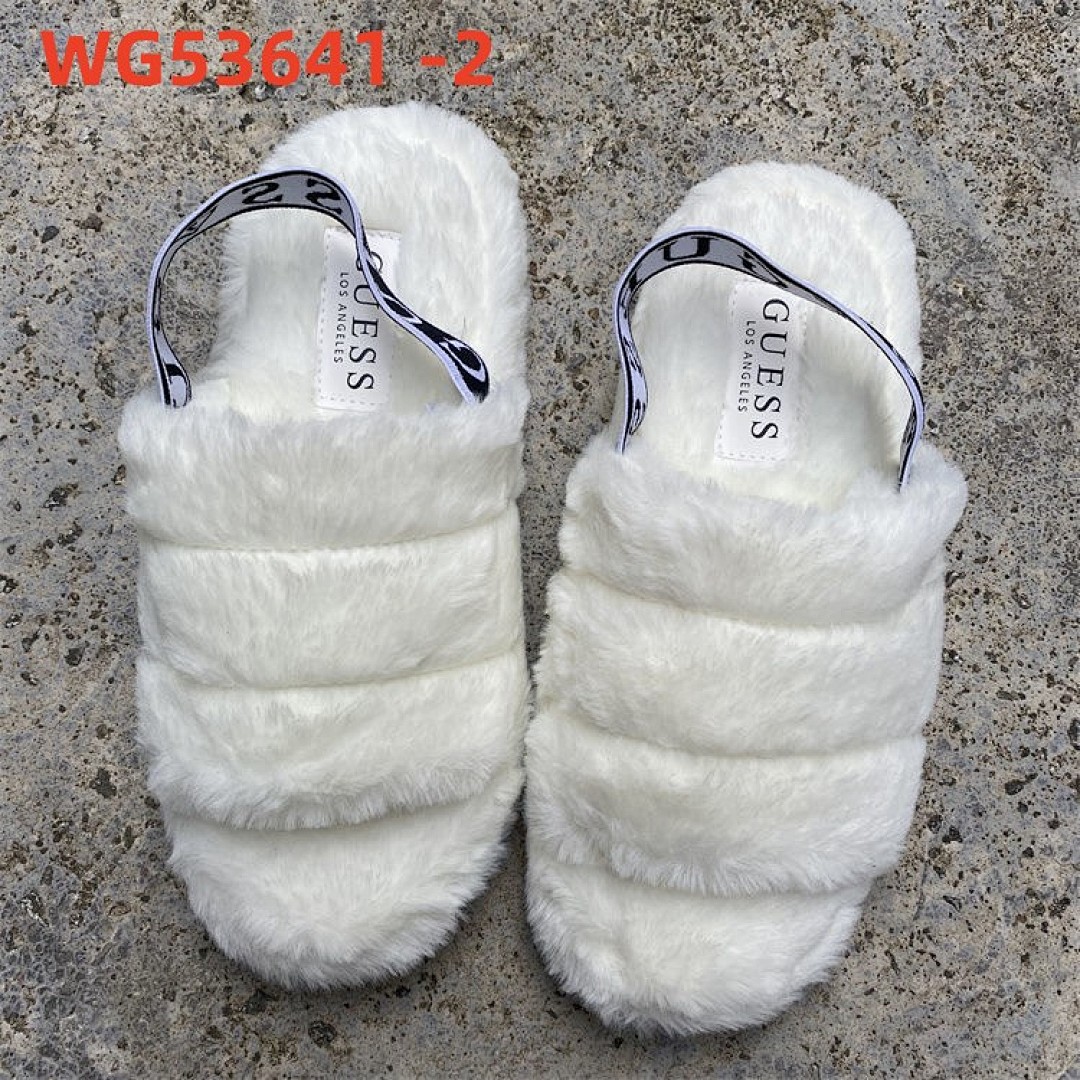 WG53641