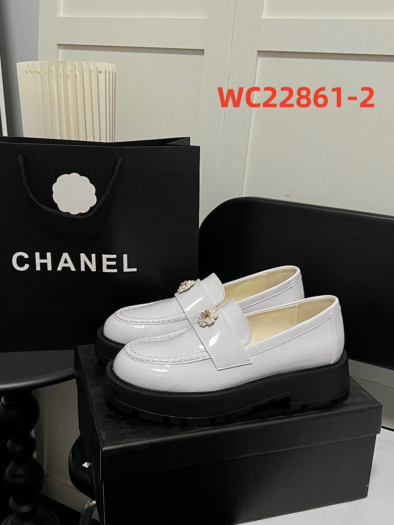 WC22861