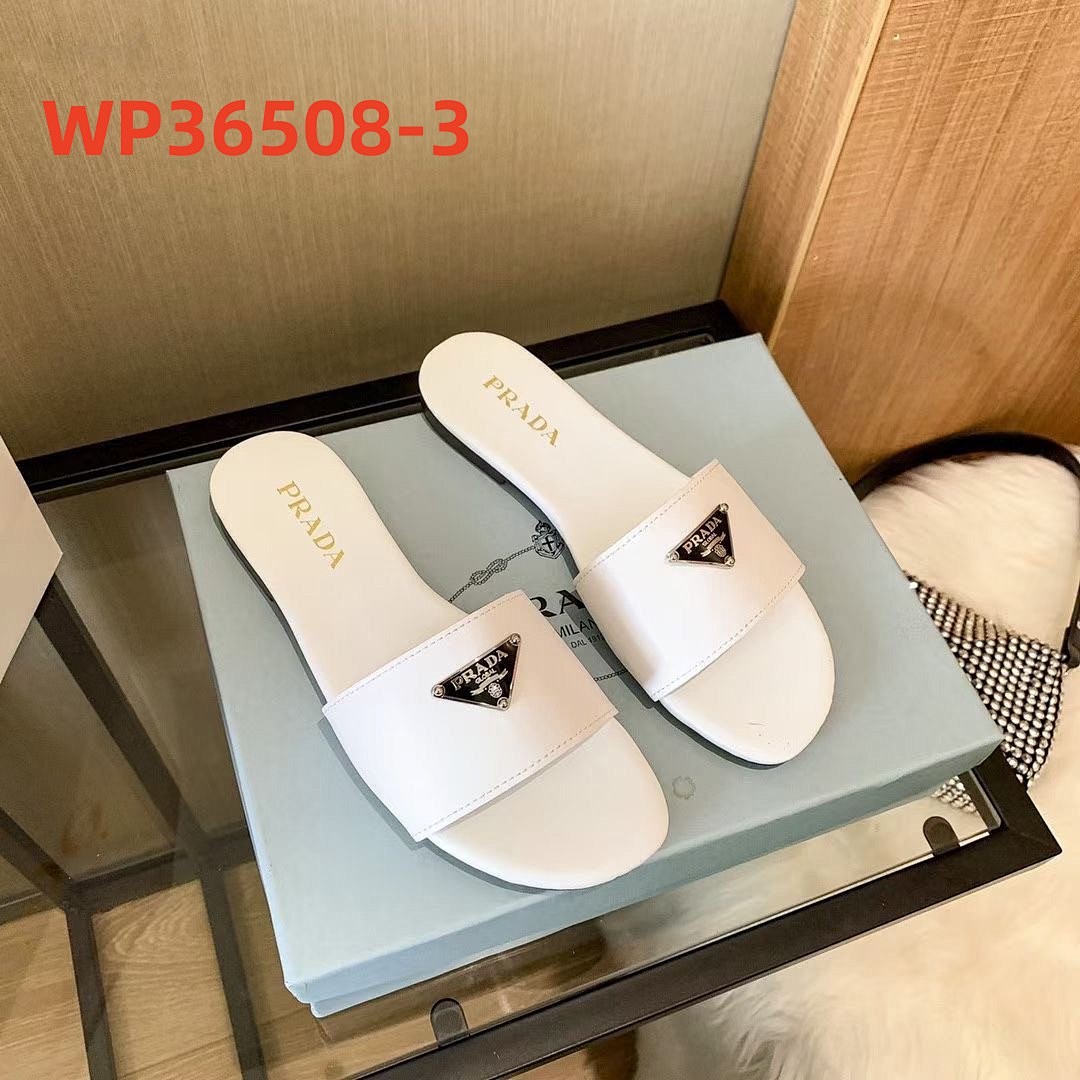 WP36508
