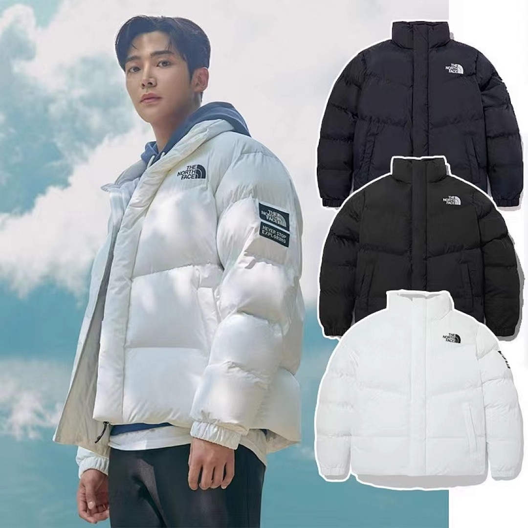 the north face LN71120 N71