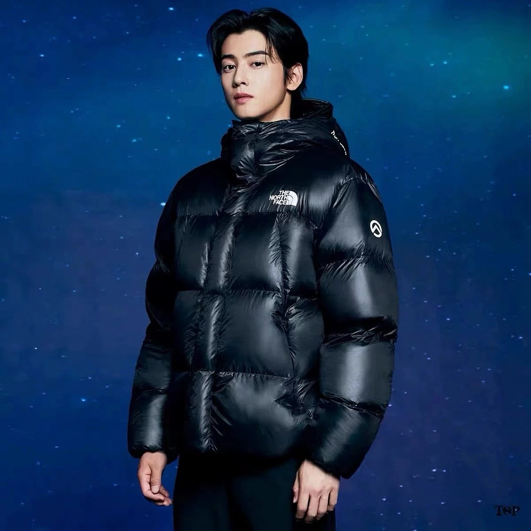 the north face LT1206