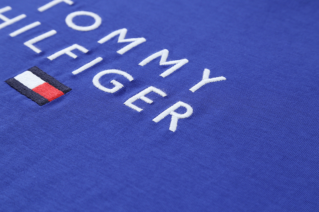 Tommy Hilfiger Embroidered Tommy Logo T-Shirt · A2192 — תמונה 38