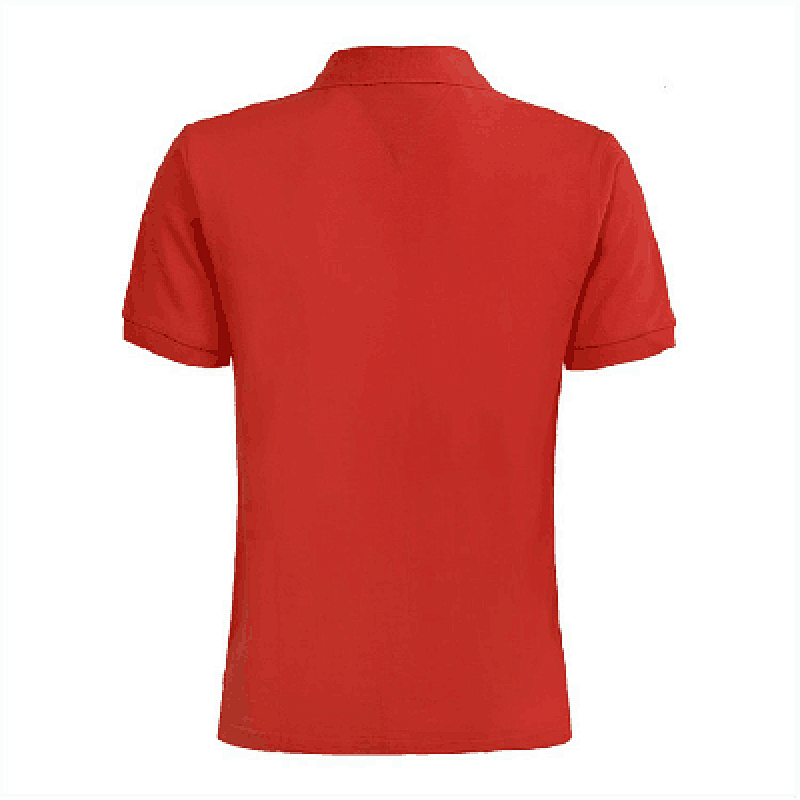 Tommy Hilfiger 1985 Polo · A119 — תמונה 23