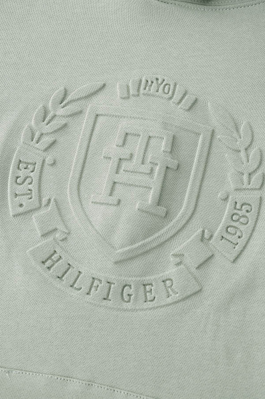 Tommy Hilfiger Embroidered Tommy Logo Hoodie · A2099 — תמונה 31