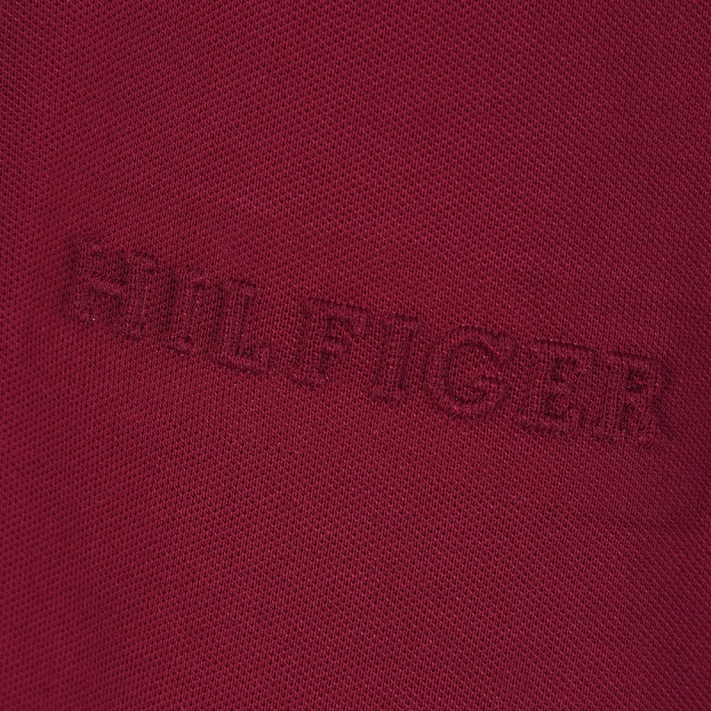 Tommy Hilfiger — חולצת פולו · A2962 — תמונה 12