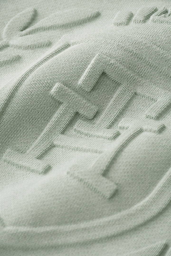 Tommy Hilfiger Flag Embroidery Terry Hoody · A2572 — תמונה 32