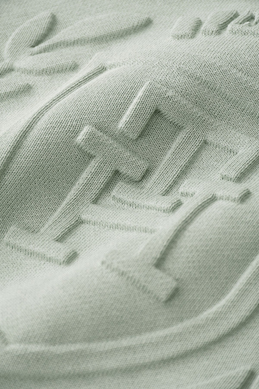 Tommy Hilfiger Flag Embroidery Terry Hoody · A2572 — תמונה 33