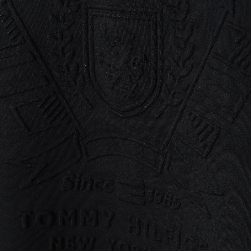Tommy Hilfiger Embroidered Crest Sweatshirt · A3303 — תמונה 34