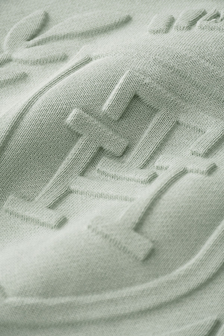 Tommy Hilfiger Embroidered Tommy Logo Hoodie · A2099 — תמונה 26