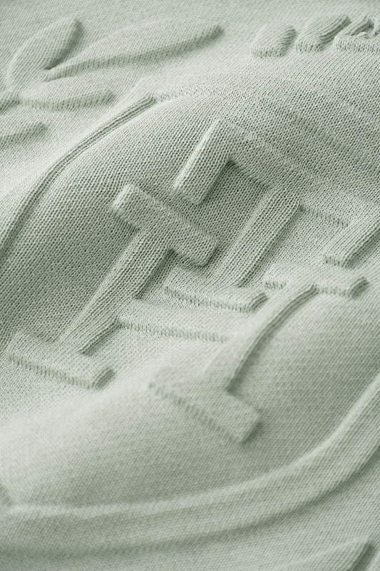 Tommy Hilfiger Embroidered Tommy Logo Hoodie · A2099 — תמונה 27