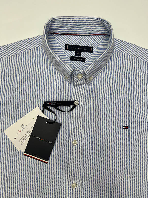 Tommy Hilfiger Regular Fit Stripe Oxford Shirt · A2424 — תמונה 11