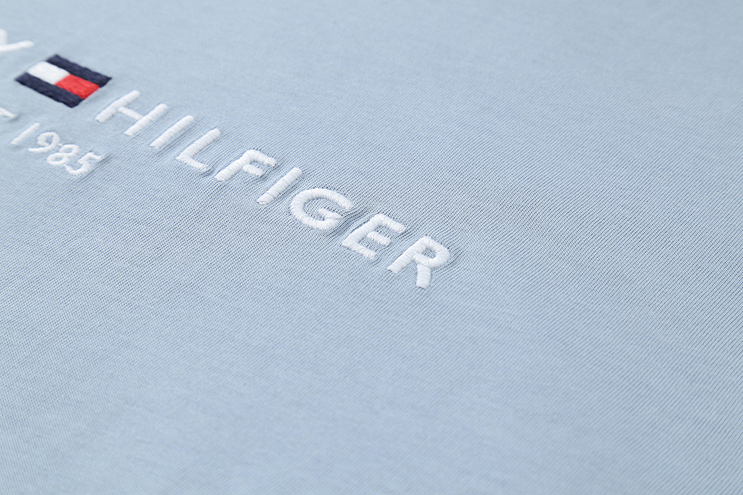 Tommy Hilfiger Embroidered Tommy Logo T-Shirt · A2192 — תמונה 16