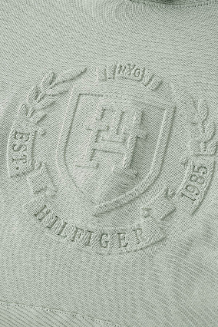 Tommy Hilfiger Flag Embroidery Terry Hoody · A2572 — תמונה 34