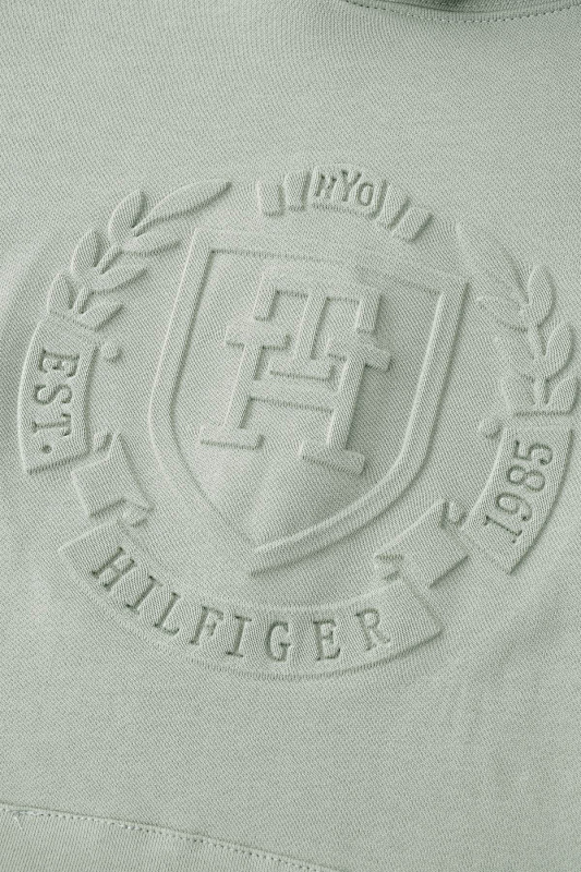 Tommy Hilfiger Flag Embroidery Terry Hoody · A2572 — תמונה 35
