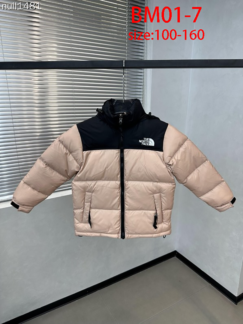 The North Face 1996 Retro Nuptse · BM01 — תמונה 17