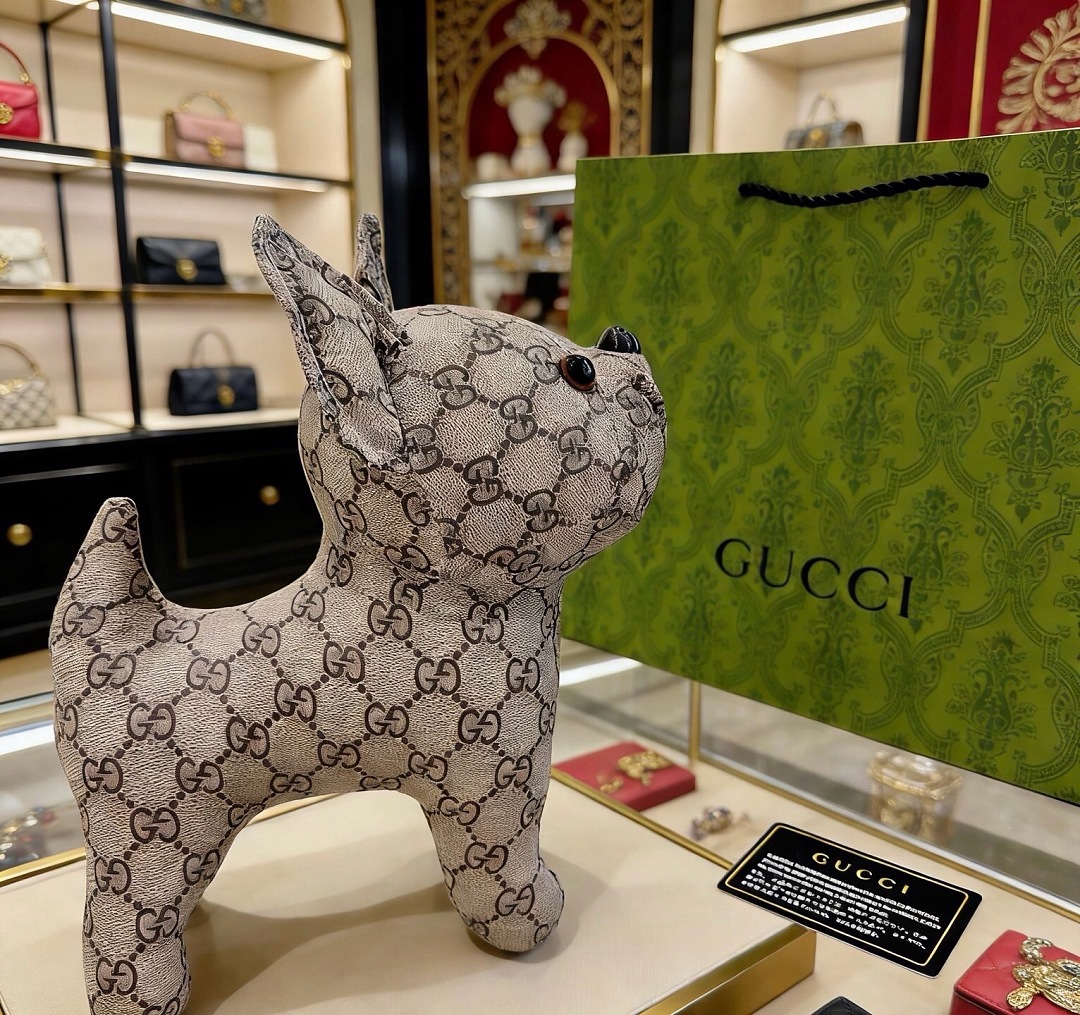 Gucci Brando the Chihuahua · FD — תמונה 8