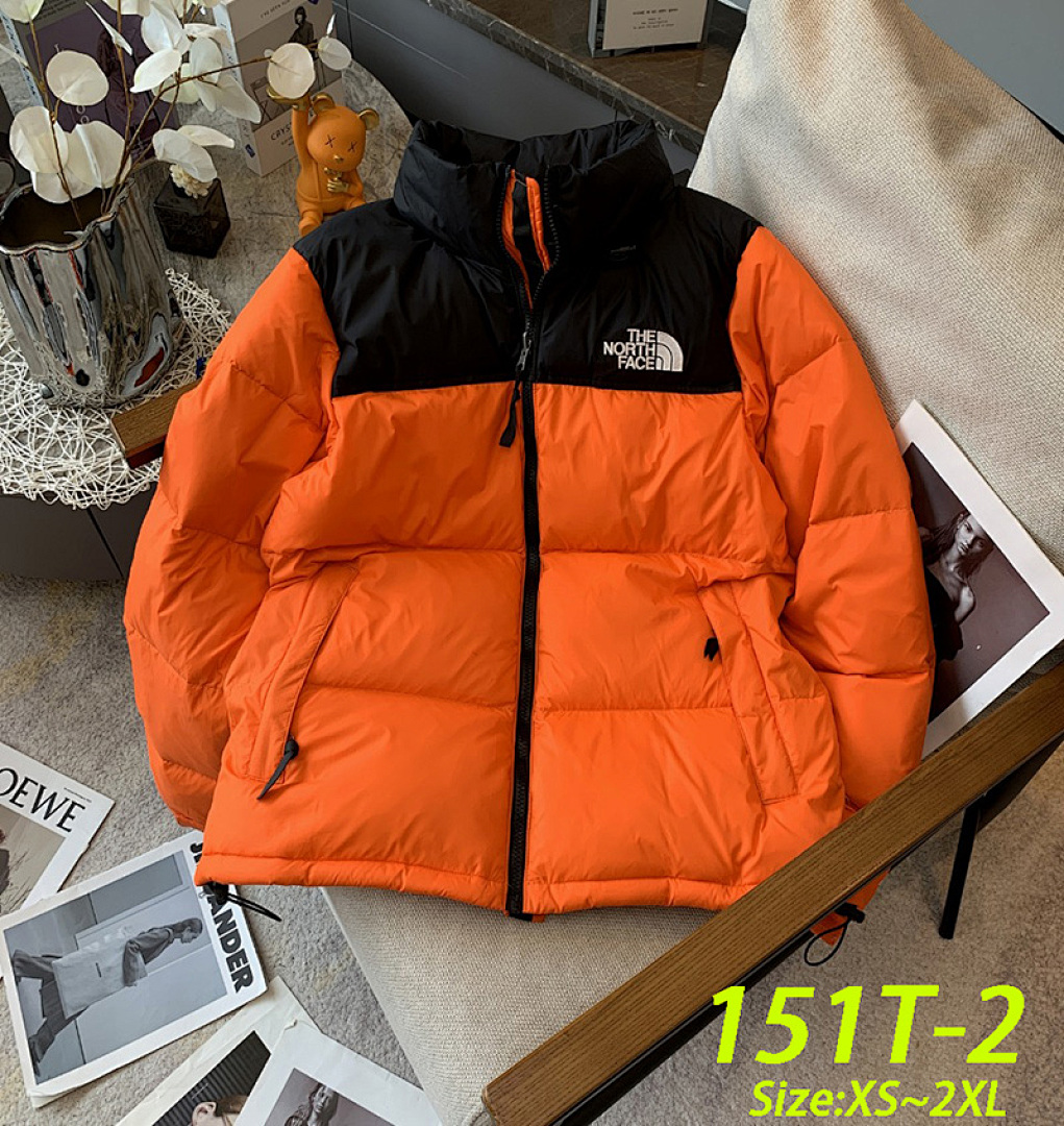 The North Face 1996 Retro Nuptse · 151T — תמונה 11