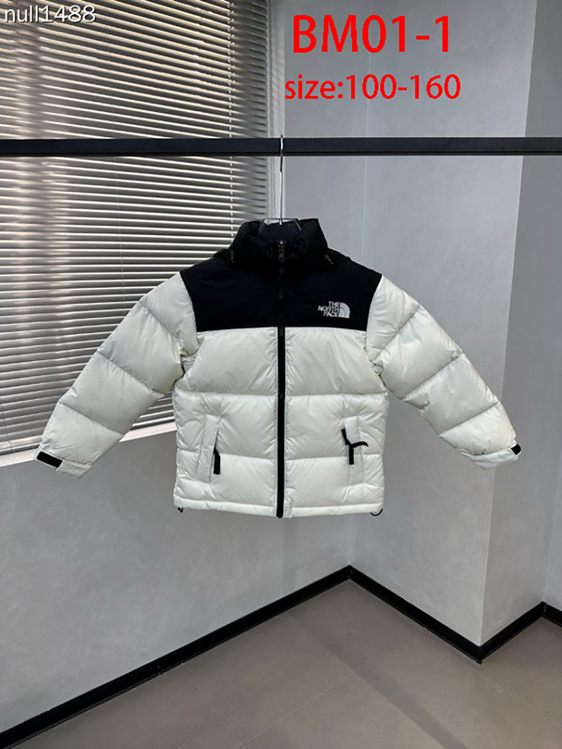 The North Face 1996 Retro Nuptse · BM01 — תמונה 23
