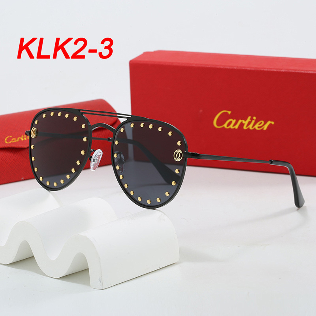 Cartier Santos · KLK2 — תמונה 9