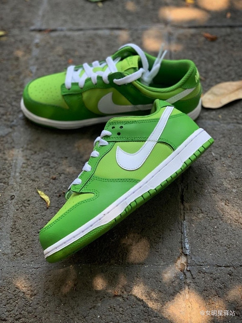 Nike Dunk Low Michigan State · Y178 — תמונה 17