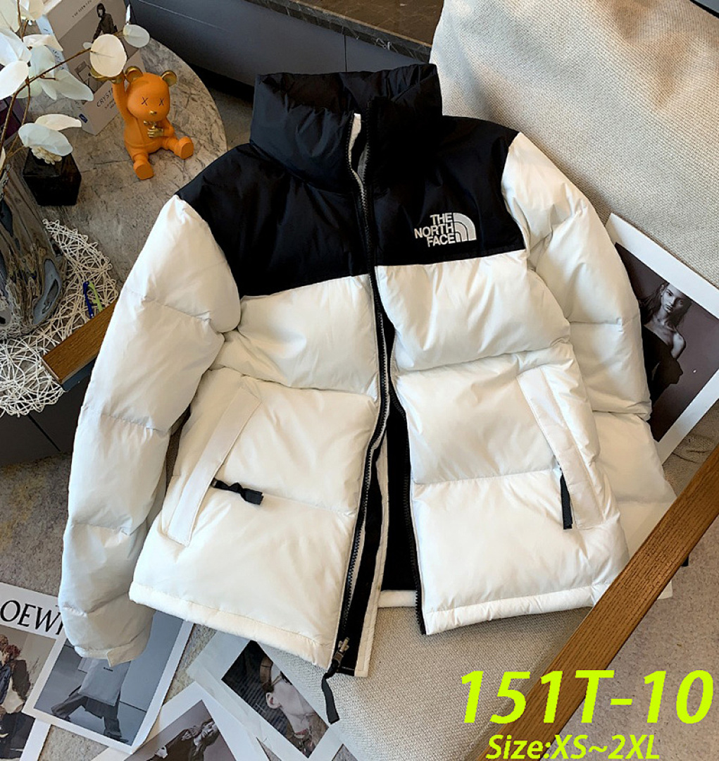 The North Face 1996 Retro Nuptse · 151T — תמונה 3