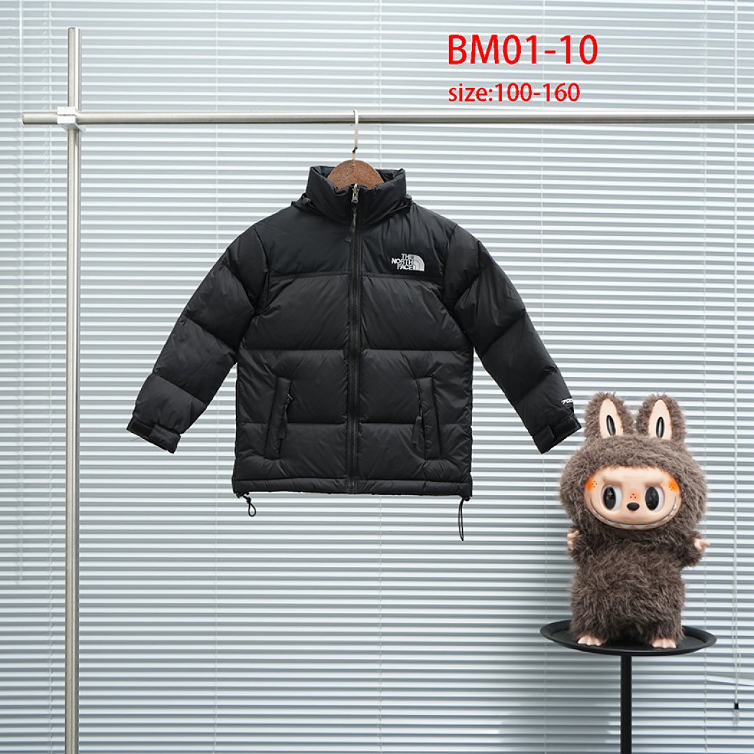 The North Face 1996 Retro Nuptse · BM01 — תמונה 14