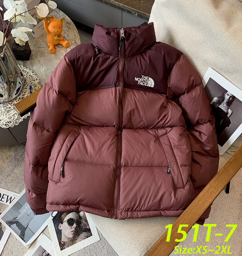 The North Face 1996 Retro Nuptse · 151T — תמונה 6