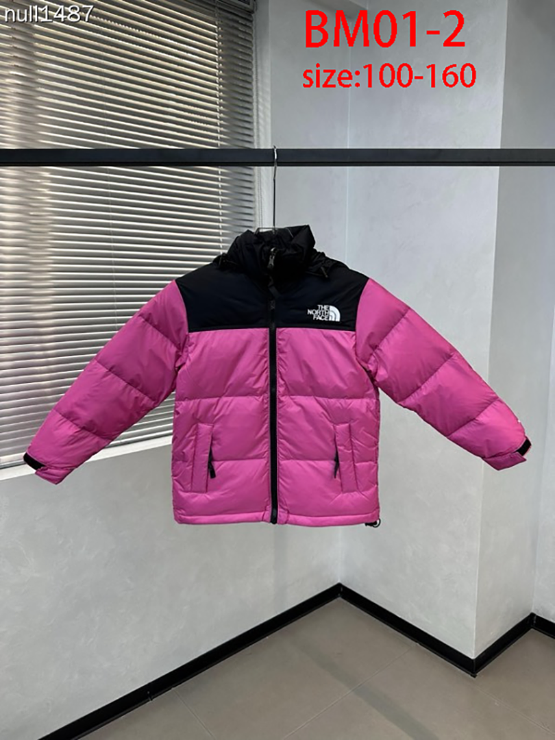 The North Face 1996 Retro Nuptse · BM01 — תמונה 22