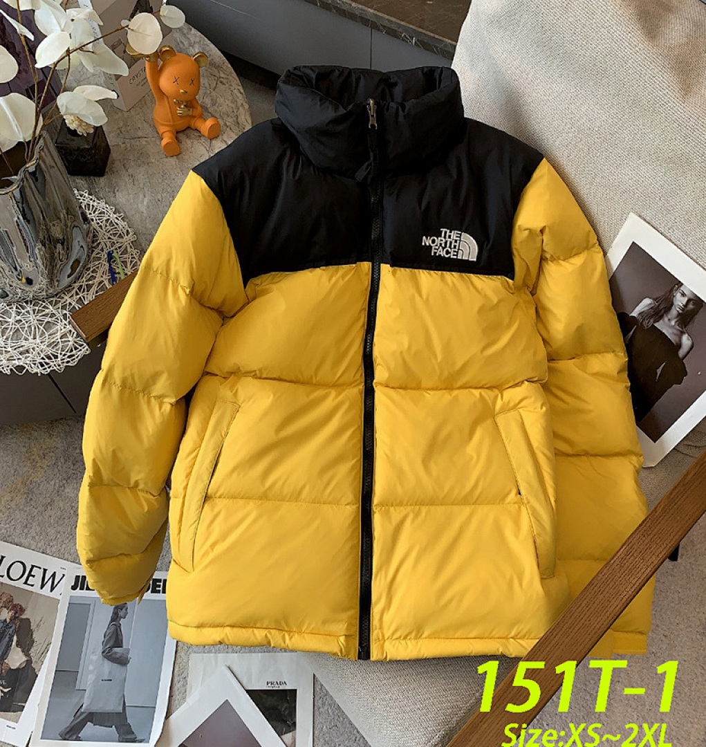 The North Face 1996 Retro Nuptse · 151T — תמונה 12
