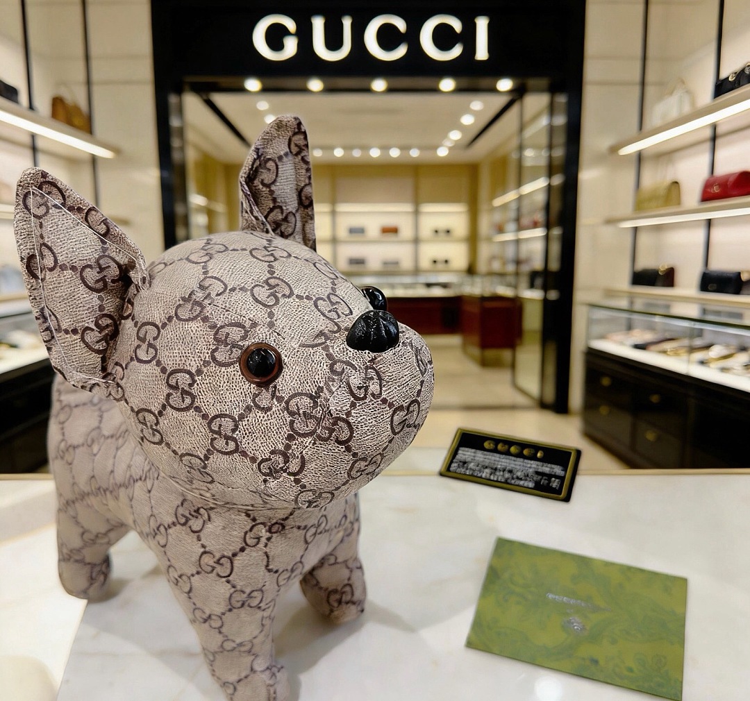 Gucci Brando the Chihuahua · FD — תמונה 9