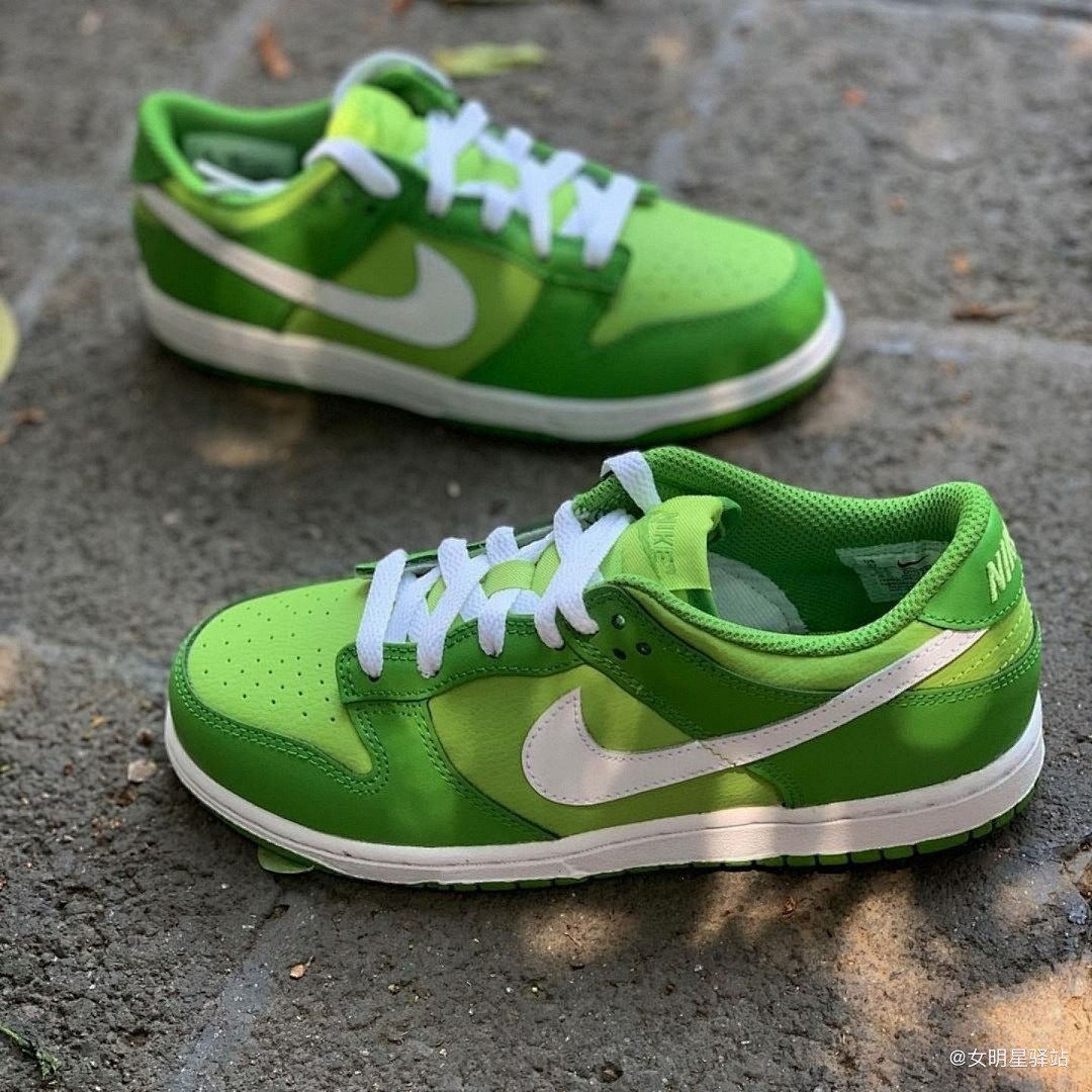 Nike Dunk Low Michigan State · Y178 — תמונה 4