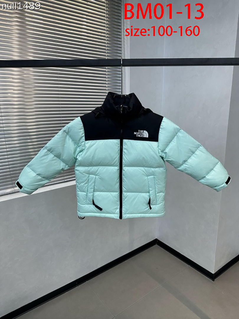 The North Face 1996 Retro Nuptse · BM01 — תמונה 11