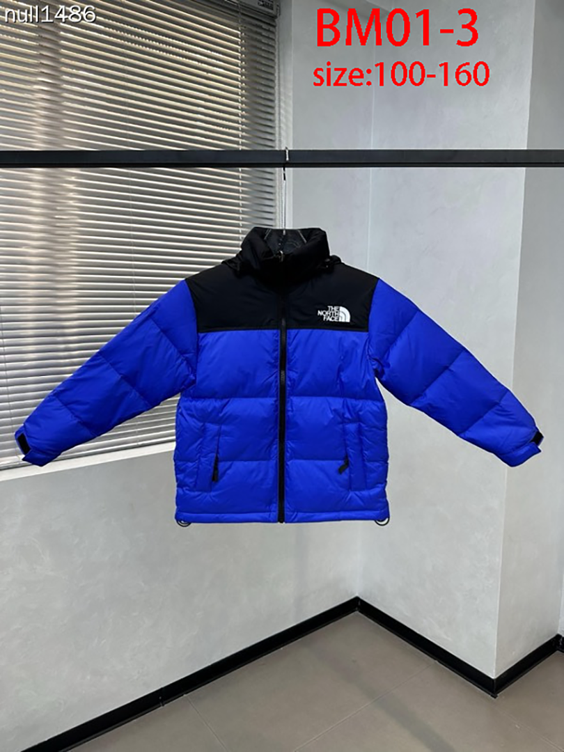 The North Face 1996 Retro Nuptse · BM01 — תמונה 21
