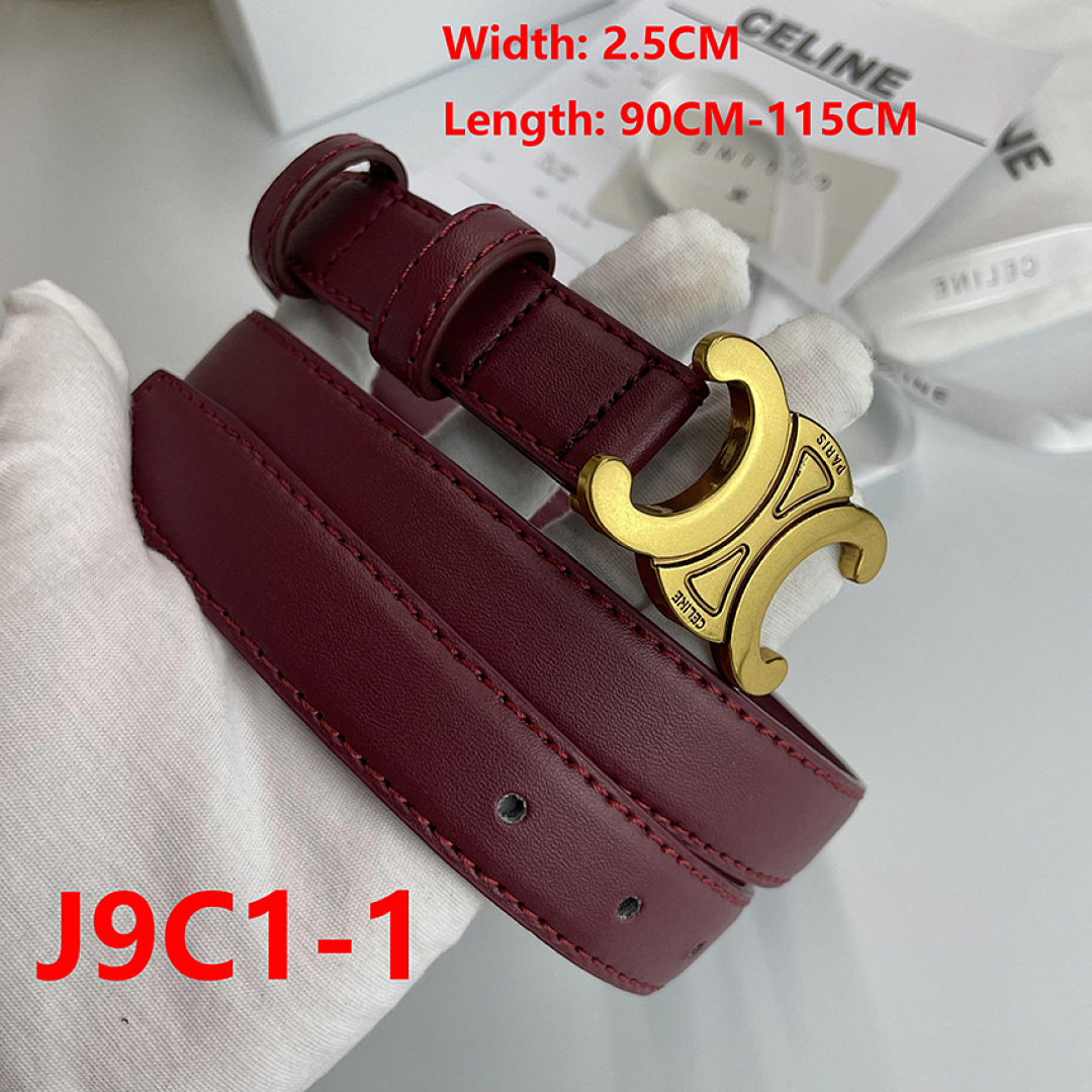 Celine Triomphe Belt · J9C1 — תמונה 16