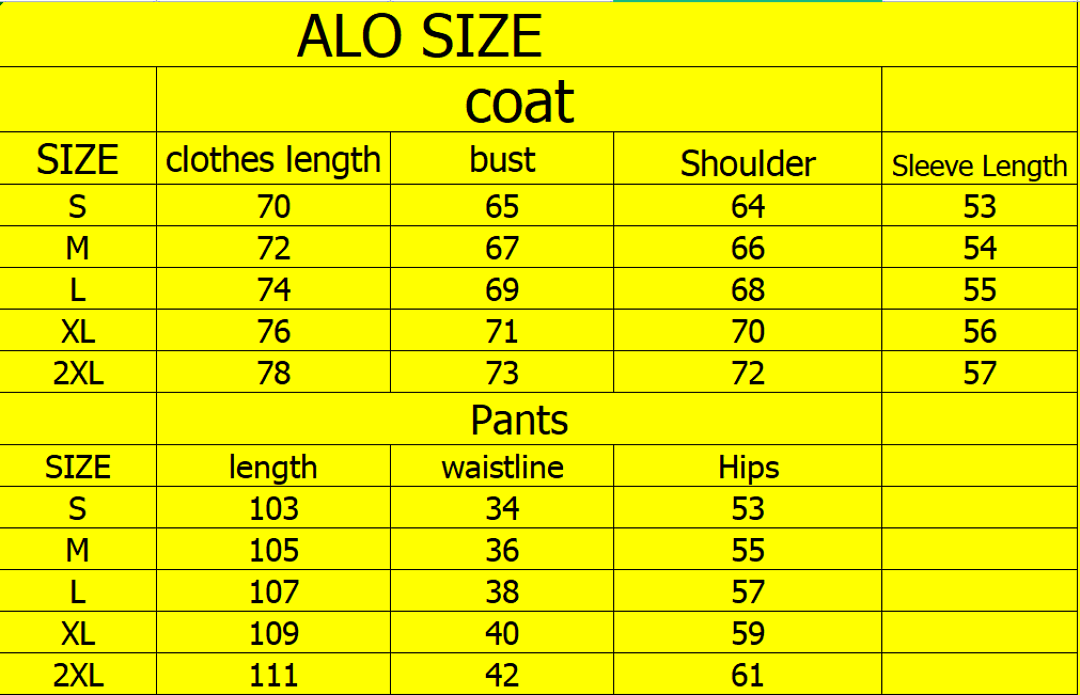 Alo Accolade Hoodie · Y38L — תמונה 2