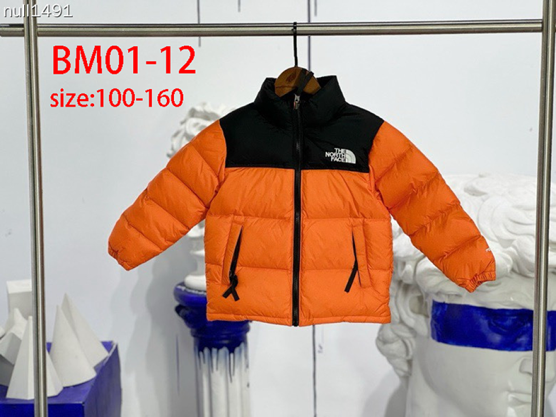The North Face 1996 Retro Nuptse · BM01 — תמונה 12