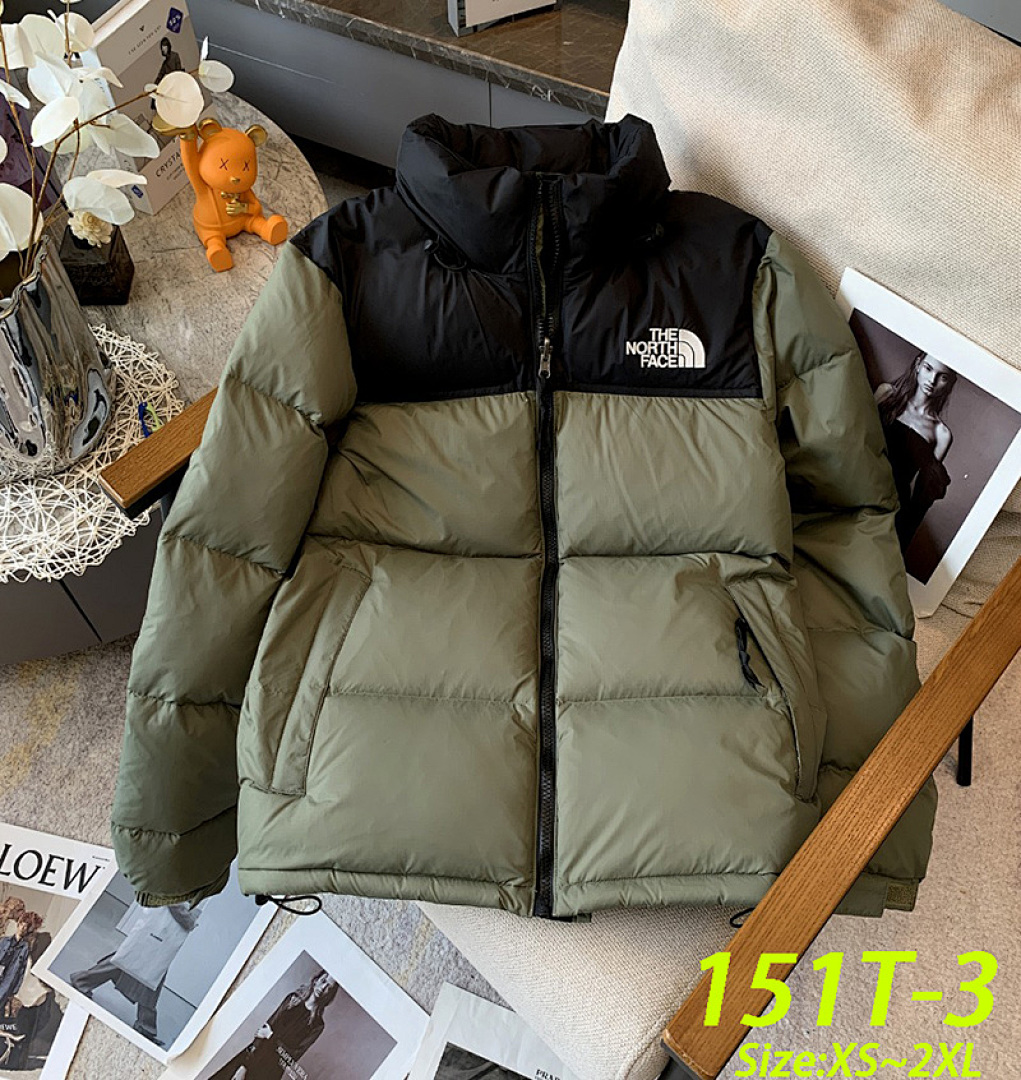 The North Face 1996 Retro Nuptse · 151T — תמונה 10