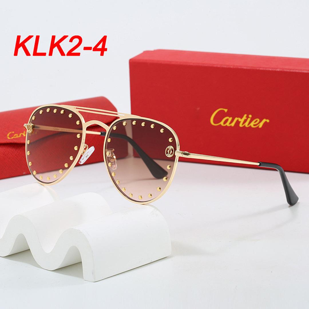 Cartier Santos · KLK2 — תמונה 8