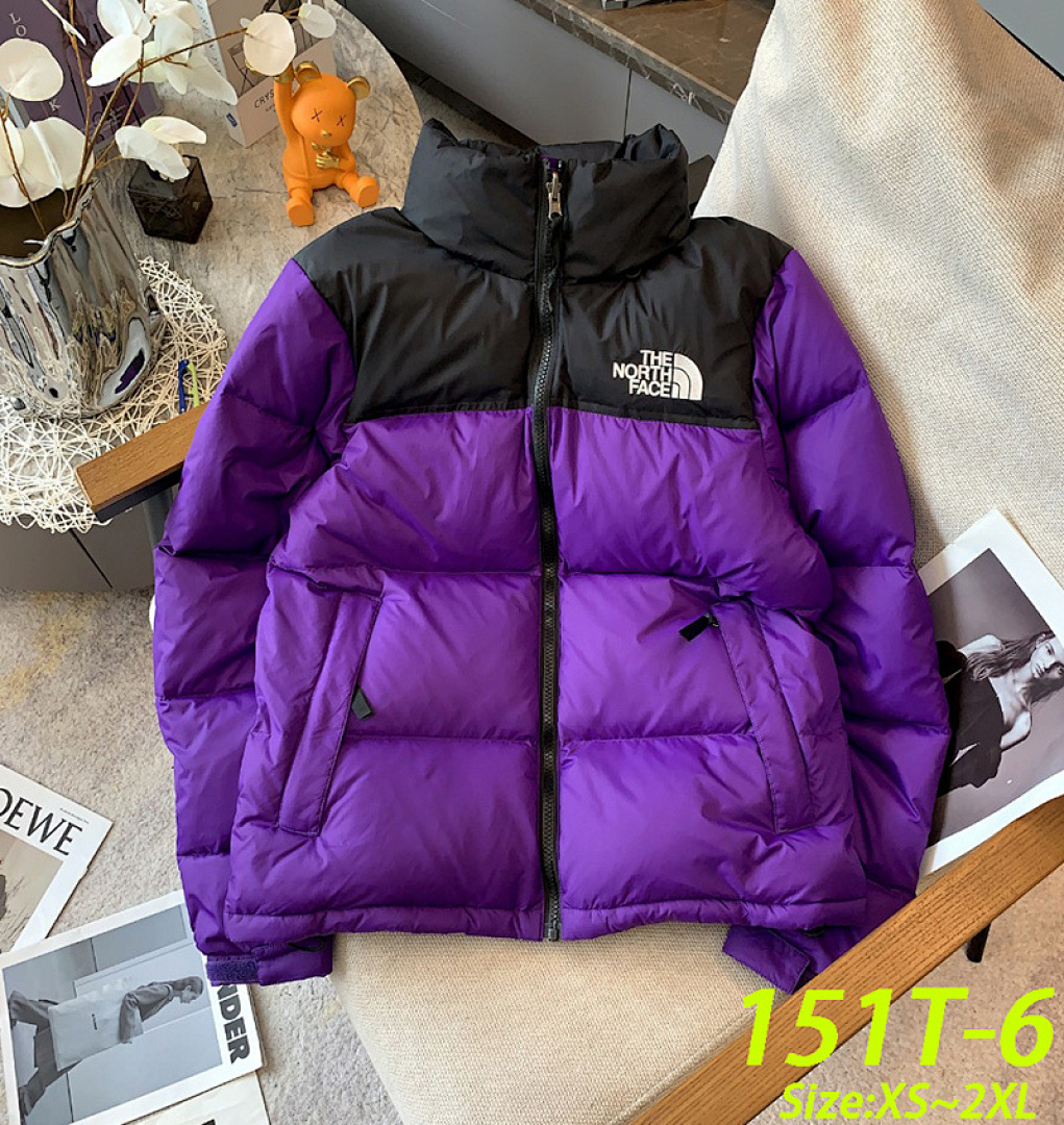 The North Face 1996 Retro Nuptse · 151T — תמונה 7