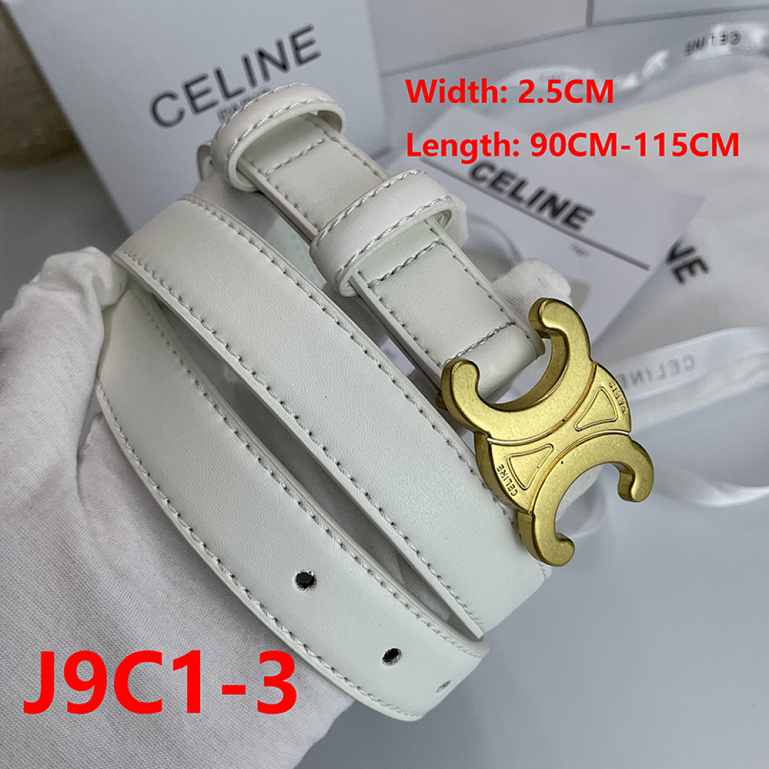 Celine Triomphe Belt · J9C1 — תמונה 14
