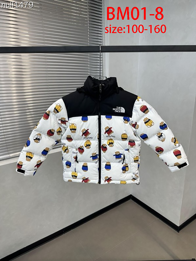 The North Face 1996 Retro Nuptse · BM01 — תמונה 16