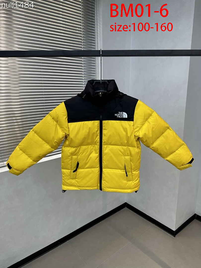 The North Face 1996 Retro Nuptse · BM01 — תמונה 18