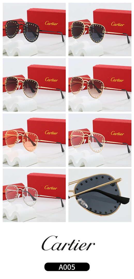 Cartier Santos · KLK2 — תמונה 3