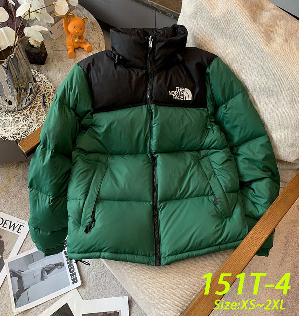 The North Face 1996 Retro Nuptse · 151T — תמונה 9