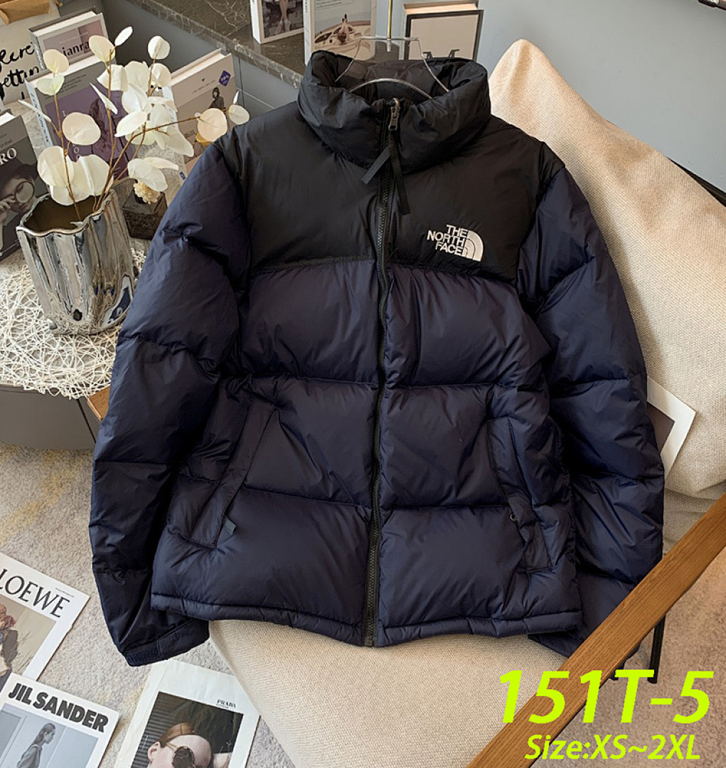 The North Face 1996 Retro Nuptse · 151T — תמונה 8