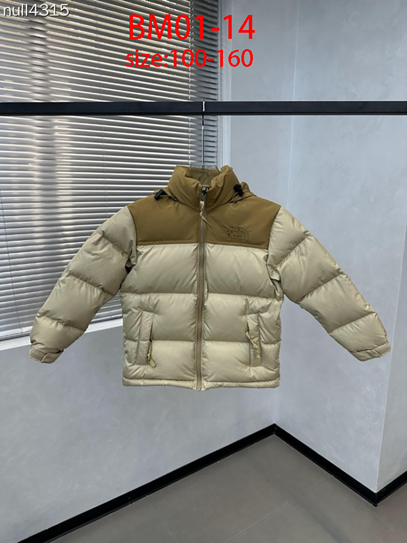 The North Face 1996 Retro Nuptse · BM01 — תמונה 2